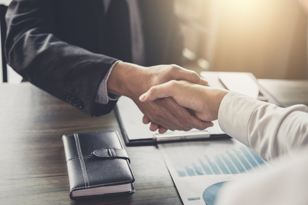 Professional adult site broker shaking hands with client